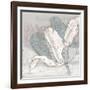 Saumur Fleur 1-Diane Stimson-Framed Art Print