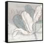 Saumur Fleur 1-Diane Stimson-Framed Stretched Canvas