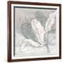 Saumur Fleur 1-Diane Stimson-Framed Art Print