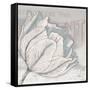 Saumur Fleur 2-Diane Stimson-Framed Stretched Canvas