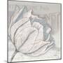 Saumur Fleur 2-Diane Stimson-Mounted Art Print