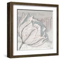 Saumur Fleur 2-Diane Stimson-Framed Art Print