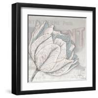 Saumur Fleur 2-Diane Stimson-Framed Art Print