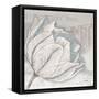 Saumur Fleur 2-Diane Stimson-Framed Stretched Canvas