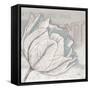 Saumur Fleur 2-Diane Stimson-Framed Stretched Canvas