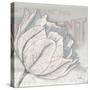 Saumur Fleur 2-Diane Stimson-Stretched Canvas
