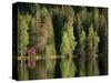 Sauna House at Edge of Forested Lake-Layne Kennedy-Stretched Canvas