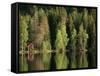 Sauna House at Edge of Forested Lake-Layne Kennedy-Framed Stretched Canvas