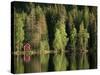 Sauna House at Edge of Forested Lake-Layne Kennedy-Stretched Canvas