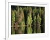Sauna House at Edge of Forested Lake-Layne Kennedy-Framed Photographic Print