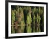 Sauna House at Edge of Forested Lake-Layne Kennedy-Framed Photographic Print