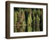 Sauna House at Edge of Forested Lake-Layne Kennedy-Framed Photographic Print
