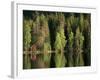 Sauna House at Edge of Forested Lake-Layne Kennedy-Framed Photographic Print