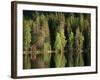 Sauna House at Edge of Forested Lake-Layne Kennedy-Framed Photographic Print