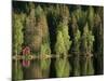 Sauna House at Edge of Forested Lake-Layne Kennedy-Mounted Photographic Print