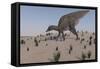 Saurolophus Walking across a Barren Landscape-null-Framed Stretched Canvas