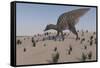 Saurolophus Walking across a Barren Landscape-null-Framed Stretched Canvas