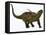 Sauropelta, a Herbivorous Dinosaur from the Cretaceous Period-null-Framed Stretched Canvas