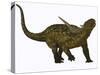 Sauropelta, a Herbivorous Dinosaur from the Cretaceous Period-null-Stretched Canvas