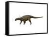 Sauropelta Dinosaur-null-Framed Stretched Canvas