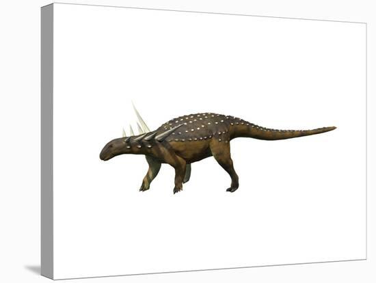 Sauropelta Dinosaur-null-Stretched Canvas