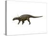Sauropelta Dinosaur-null-Stretched Canvas