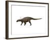 Sauropelta Dinosaur-null-Framed Art Print