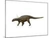 Sauropelta Dinosaur-null-Mounted Art Print