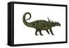 Sauropelta Was a Heavily Armored Dinosaur from the Cretaceous Period-null-Framed Stretched Canvas