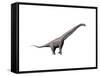 Sauroposeidon Dinosaur-null-Framed Stretched Canvas