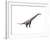 Sauroposeidon Dinosaur-null-Framed Art Print