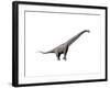 Sauroposeidon Dinosaur-null-Framed Art Print