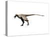 Saurornitholestes Dinosaur-null-Stretched Canvas