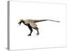 Saurornitholestes Dinosaur-null-Stretched Canvas