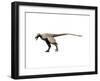 Saurornitholestes Dinosaur-null-Framed Art Print