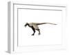 Saurornitholestes Dinosaur-null-Framed Art Print