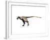 Saurornitholestes Dinosaur-null-Framed Art Print