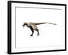 Saurornitholestes Dinosaur-null-Framed Art Print