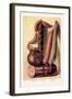 Sausage-null-Framed Art Print