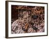 Sausages and Saucisson on Sale at Market in Tours, Indre-Et-Loire, Centre, France, Europe-Julian Elliott-Framed Photographic Print