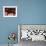 Sausages on a Market Stall, La Flotte, Ile De Re, Charente-Maritime, France, Europe-Richardson Peter-Framed Photographic Print displayed on a wall