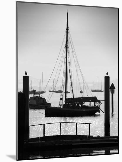 Sausalito Sailboat-John Gusky-Mounted Photographic Print