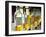 Sauternes Wines at Union Des Grand Crus Tasting, Domaine De Chevalier in Graves, Bordeaux, France-Per Karlsson-Framed Photographic Print