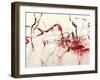 Sauvignon-Joshua Schicker-Framed Giclee Print