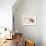 Sauvignon-Joshua Schicker-Framed Giclee Print displayed on a wall