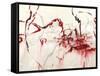 Sauvignon-Joshua Schicker-Framed Stretched Canvas