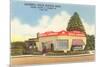 Sauzer's Little Waffle Shop, Roadside Retro-null-Mounted Art Print