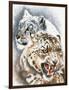 Savage Perfection-Barbara Keith-Framed Giclee Print