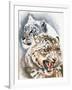 Savage Perfection-Barbara Keith-Framed Giclee Print