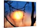 Stretched Canvas